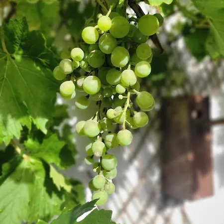 Les De L'herperie *